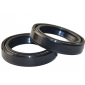 Сальник вилки 2шт. 35*48-11 APRILIA BMW DERBI HARLEY DAVIDSON XL HONDA KAWASAKI SUZUKI YAMAHA (САЛЬНИК+САЛЬНИК) MIXMOTO