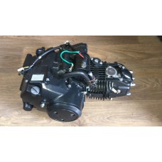 Двигатель в сборе LIFAN 125cc(механика) с стартером ПИТБАЙК (черный) Двигатель в сборе LIFAN 125cc(механика) с стартером ПИТБАЙК (черный)