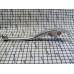 Купить Рычаг тормоза правый SH150 диск 53178-MCT-006, HONDA ОРИГИНАЛ (Original)