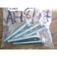 Болт крышки вариатора HONDA DIO HONDA DIO AF 18/27/28/TACT AF 24/30 1 шт.